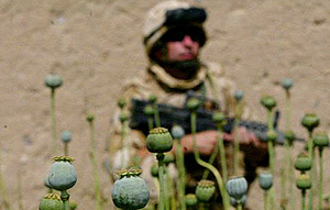 Guerre Afghanistan